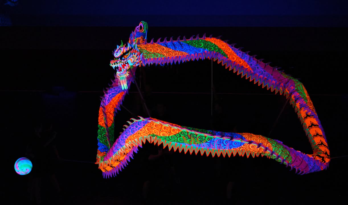 2026香港夜光龍-YYCheng提供